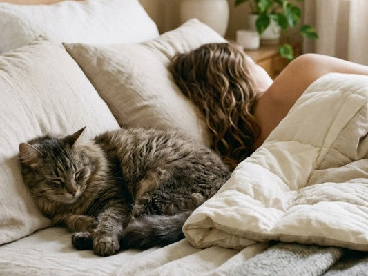 Is It Okay to Sleep with My Cat?