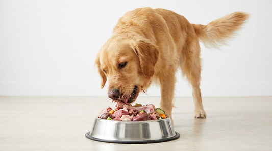 Top Raw Dog Food Brands