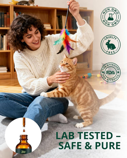 Feline Urinary Tract Treatment