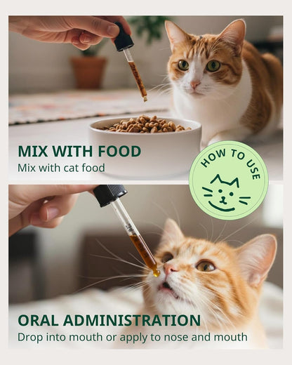 Feline Urinary Tract Treatment